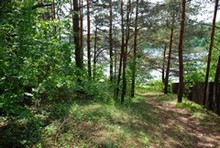 galeria zdjęć