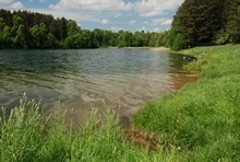 galeria zdjęć
