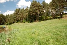 galeria zdjęć