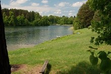galeria zdjęć