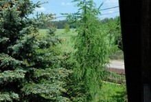 galeria zdjęć